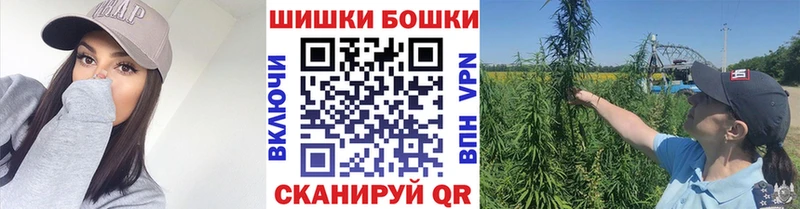 Канабис сатива  Алзамай 